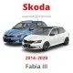 Skoda Fabia - mileage filter, blocker